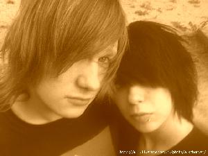 Салаты (салат-латук, салат кочанный, салат-ромен на дачном участке